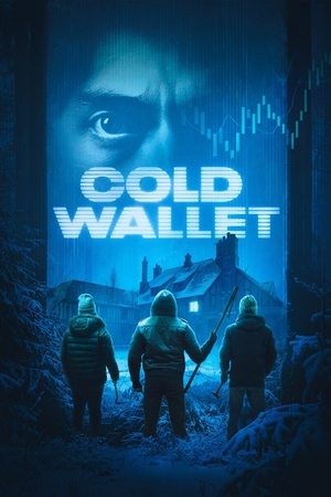 Cold Wallet (2025) WEBRip Hindi (MULTI AUDIO) 720p – 480p – 1080p