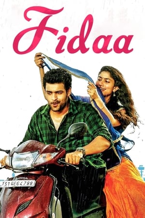 Fidaa 2017 [Hindi - Telugu] Dual Audio 720p Uncut HDRip [1.2GB]