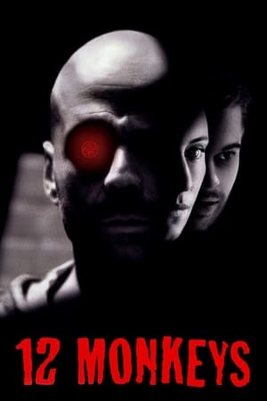 Twelve Monkeys (1995) Hindi Dual Audio 480p BluRay 450MB